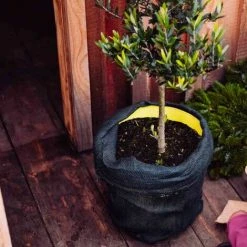 SIENA GARDEN Jute Schutzsack Grün 100x60 Pflanzenschutz Winterschutz Pflanzen Schutz TOP NEU -SIENA GARDEN Shop 20773184 4