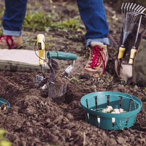 SIENA GARDEN Blumenzwiebel-Pflanzschale 22cm Rund Im 3er Set 4 SIENA GARDEN Blumenzwiebel-Pflanzschale 22cm Rund Im 3er Set – Bild 2