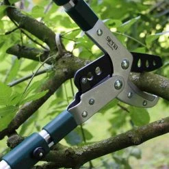 SIENA GARDEN Pro Alu Amboss Astschere 5-fach Teleskopierbar Gartenschere Rosenschere Schere 9 SIENA GARDEN Pro Alu Amboss Astschere 5-fach Teleskopierbar Gartenschere Rosenschere Schere -SIENA GARDEN Shop 20774018 3