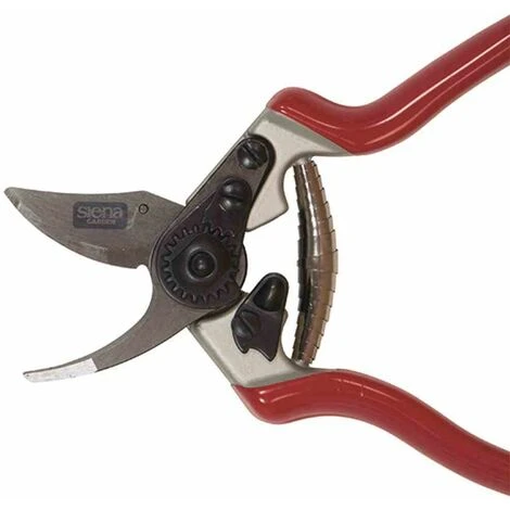 SIENA GARDEN Premium Alu-Bypassschere Kleiner Schneidkopf Gartenschere Astschere Baumschere 5 SIENA GARDEN Premium Alu-Bypassschere Kleiner Schneidkopf Gartenschere Astschere Baumschere – Bild 3