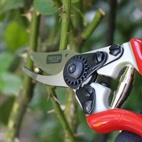 SIENA GARDEN Premium Alu-Bypassschere Kleiner Schneidkopf Gartenschere Astschere Baumschere 6 SIENA GARDEN Premium Alu-Bypassschere Kleiner Schneidkopf Gartenschere Astschere Baumschere – Bild 4