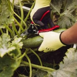 SIENA GARDEN Premium Alu-Bypassschere 21,5cm Gartenschere Astschere Schere Baumschere Garten -SIENA GARDEN Shop 20774420 5