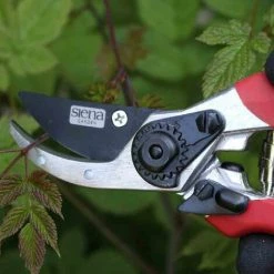 SIENA GARDEN Gartenschere Schneideflink Länge: 21 Cm -SIENA GARDEN Shop 20776261 4