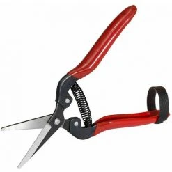 SIENA GARDEN Premium Lese-, Ernte- Und Blumenschere Länge: 19 Cm -SIENA GARDEN Shop 20776262 2