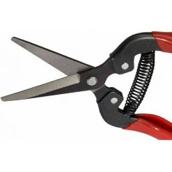 SIENA GARDEN Premium Lese-, Ernte- Und Blumenschere Länge: 19 Cm -SIENA GARDEN Shop 20776262 3