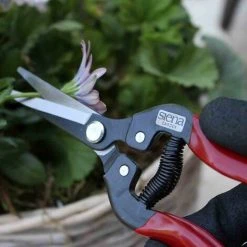 SIENA GARDEN Premium Lese-, Ernte- Und Blumenschere Länge: 19 Cm -SIENA GARDEN Shop 20776262 4