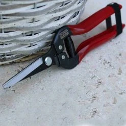 SIENA GARDEN Premium Lese-, Ernte- Und Blumenschere Länge: 19 Cm -SIENA GARDEN Shop 20776262 5