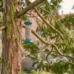 SIENA GARDEN Vogelfuttersäule Premium Line Für Nüsse, 24cm 10 SIENA GARDEN Vogelfuttersäule Premium Line Für Nüsse, 24cm -SIENA GARDEN Shop 20777261 4