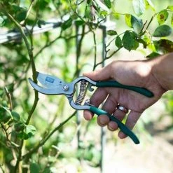 SIENA GARDEN Bypassschere Gartenschere Scheren Pflanzenschere Gartenarbeit Blumenschere Hecke 10 SIENA GARDEN Bypassschere Gartenschere Scheren Pflanzenschere Gartenarbeit Blumenschere Hecke -SIENA GARDEN Shop 20777353 4