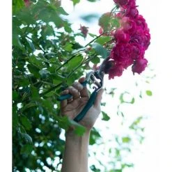 SIENA GARDEN Bypassschere Gartenschere Scheren Pflanzenschere Gartenarbeit Blumenschere Hecke 11 SIENA GARDEN Bypassschere Gartenschere Scheren Pflanzenschere Gartenarbeit Blumenschere Hecke -SIENA GARDEN Shop 20777353 5