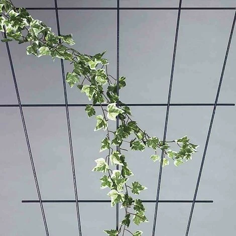 SIENA GARDEN Rosenspalier In V-Form Grün 150 X 75 Cm 3 SIENA GARDEN Rosenspalier In V-Form Grün 150 X 75 Cm