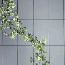 SIENA GARDEN Spalier 3strebig 150 X 45 Cm Hammerschlag Mit SB-Reiter