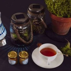 SIENA GARDEN Solar- Windlicht, Glas Mit Seilgriff 1 LED Weiß, 1 LED Farbwechsler, 11 X 16 Cm 9 SIENA GARDEN Solar- Windlicht, Glas Mit Seilgriff 1 LED Weiß, 1 LED Farbwechsler, 11 X 16 Cm -SIENA GARDEN Shop 29030337 3