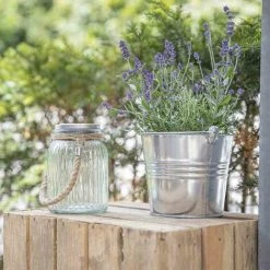 SIENA GARDEN Solar- Windlicht, Glas Mit Seilgriff 1 LED Weiß, 1 LED Farbwechsler, 11 X 16 Cm 10 SIENA GARDEN Solar- Windlicht, Glas Mit Seilgriff 1 LED Weiß, 1 LED Farbwechsler, 11 X 16 Cm -SIENA GARDEN Shop 29030337 4