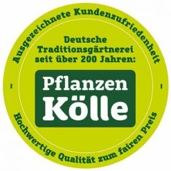 SIENA GARDEN Hocker "Elda Plus" Aus Streckmetall, Eisengrau -SIENA GARDEN Shop 30273860 2