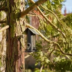 SIENA GARDEN Vogelfutterhaus Black Line Für Mischfutter, 24,5 Cm 11 SIENA GARDEN Vogelfutterhaus Black Line Für Mischfutter, 24,5 Cm -SIENA GARDEN Shop 41373808 5