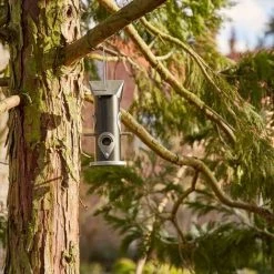 SIENA GARDEN Vogelfuttersäule Black Line Für Mischfutter, 25cm 11 SIENA GARDEN Vogelfuttersäule Black Line Für Mischfutter, 25cm -SIENA GARDEN Shop 41373810 5