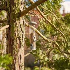 SIENA GARDEN Vogelfuttersäule Iron Line Für Mischfutter, 32,5cm 11 SIENA GARDEN Vogelfuttersäule Iron Line Für Mischfutter, 32,5cm -SIENA GARDEN Shop 41373818 5