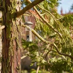 SIENA GARDEN Vogelfuttersäule Iron Line Für Mischfutter, 22cm 11 SIENA GARDEN Vogelfuttersäule Iron Line Für Mischfutter, 22cm -SIENA GARDEN Shop 41373902 5