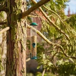 SIENA GARDEN Vogelfuttersäule Basic Line Für Mischfutter, 38cm 11 SIENA GARDEN Vogelfuttersäule Basic Line Für Mischfutter, 38cm -SIENA GARDEN Shop 41373903 5