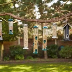 SIENA GARDEN Vogelfuttersäule Basic Line Für Mischfutter, 24cm 11 SIENA GARDEN Vogelfuttersäule Basic Line Für Mischfutter, 24cm -SIENA GARDEN Shop 41373904 5