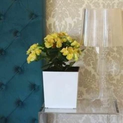 SIENA GARDEN Pflanzgefäß BREST, Weiß Hochglanzoptik, 25 X 25 X 26 Cm Kunststoffgefäß Mit Einsatz 10 SIENA GARDEN Pflanzgefäß BREST, Weiß Hochglanzoptik, 25 X 25 X 26 Cm Kunststoffgefäß Mit Einsatz -SIENA GARDEN Shop 41373910 4