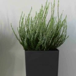 SIENA GARDEN Pflanzgefäß BREST, Anthrazit Hochglanzoptik, 30 X 30 X 31 Cm Kunststoffgefäß Mit Einsatz -SIENA GARDEN Shop 41373914 4