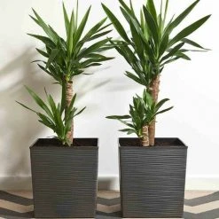 SIENA GARDEN Pflanzgefäß BIRON, Graphit Rillenoptik, 40 X 40 X 41,5 Cm Kunststoffgefäß Mit Einsatz -SIENA GARDEN Shop 41373926 5