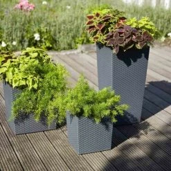 SIENA GARDEN Pflanzgefäß NIZZA, Graphit Rillenoptik, 25 X 25 X 46,5 Cm Kunststoffgefäß Mit Einsatz -SIENA GARDEN Shop 41373937 5