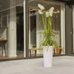 SIENA GARDEN Pflanzgefäß LILLE, Weiß Hochglanzoptik, Ø 25 X 46,5 Cm Kunststoffgefäß Mit Einsatz -SIENA GARDEN Shop 41373944 4