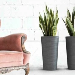 SIENA GARDEN Pflanzgefäß LOCON, Graphit Rillenoptik, Ø 25 X 46,5 Cm Kunststoffgefäß Mit Einsatz -SIENA GARDEN Shop 41373951 4