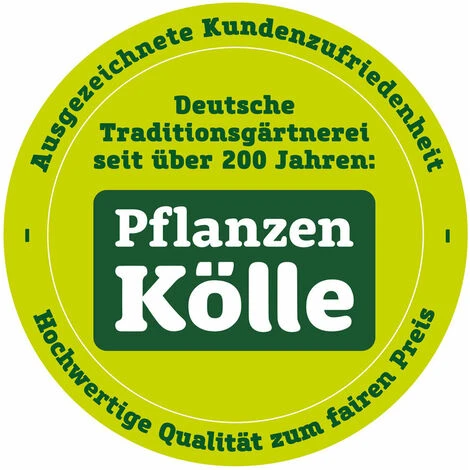 SIENA GARDEN Kokos-Quelltabs Mit Netz, 100 Stück, Braun, Kokosfasern, Ø 3,5 Cm 4 SIENA GARDEN Kokos-Quelltabs Mit Netz, 100 Stück, Braun, Kokosfasern, Ø 3,5 Cm – Bild 2